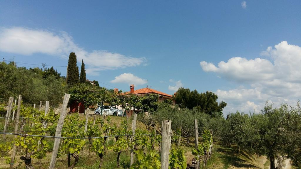 Villa Mejak & Bordon à Sečovlje Extérieur photo