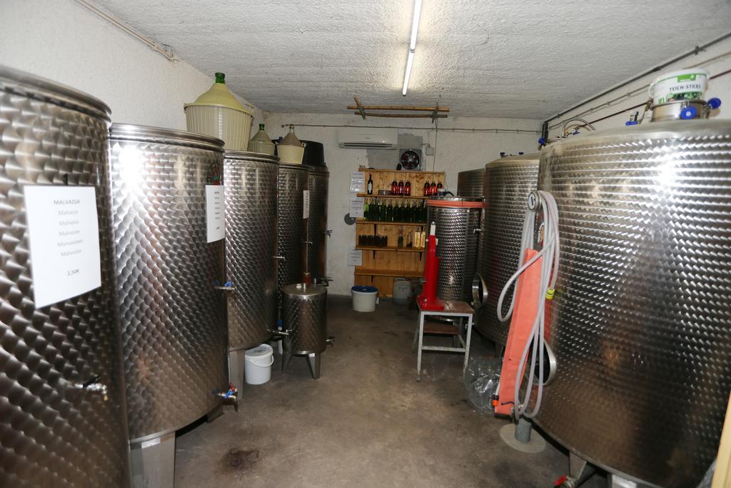 Villa Mejak & Bordon à Sečovlje Extérieur photo