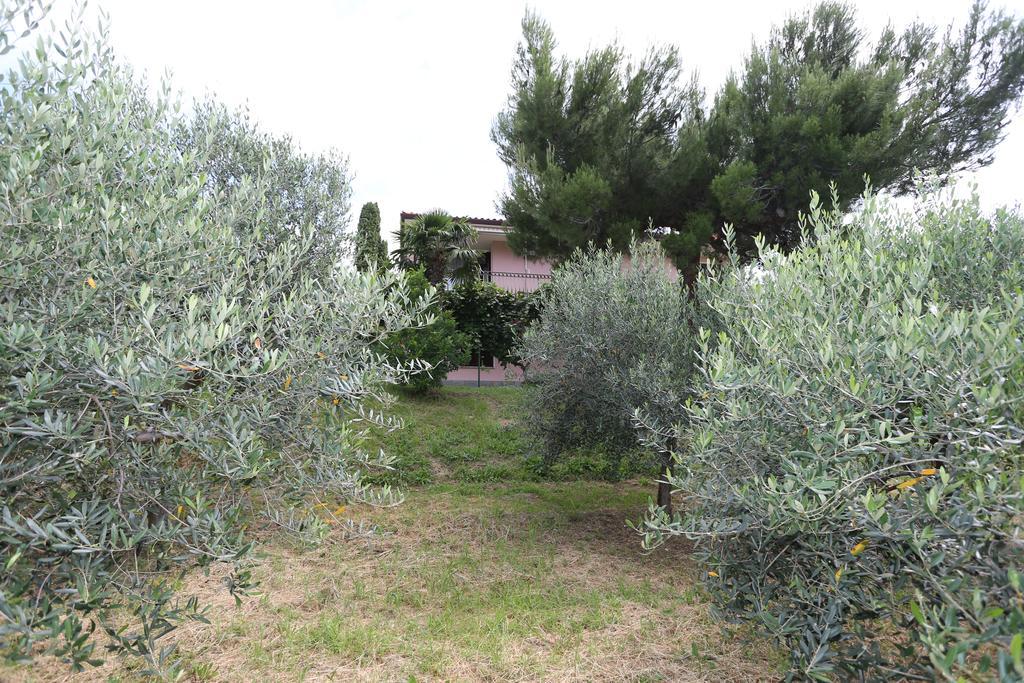 Villa Mejak & Bordon à Sečovlje Extérieur photo