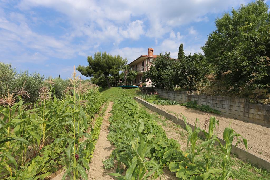 Villa Mejak & Bordon à Sečovlje Extérieur photo