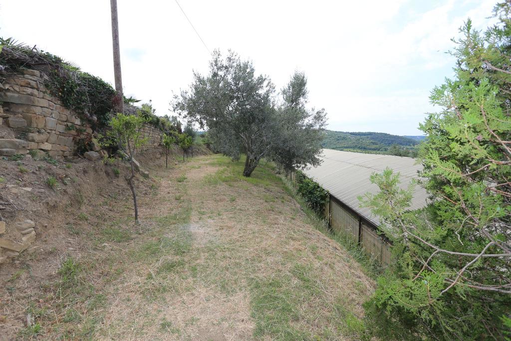 Villa Mejak & Bordon à Sečovlje Extérieur photo