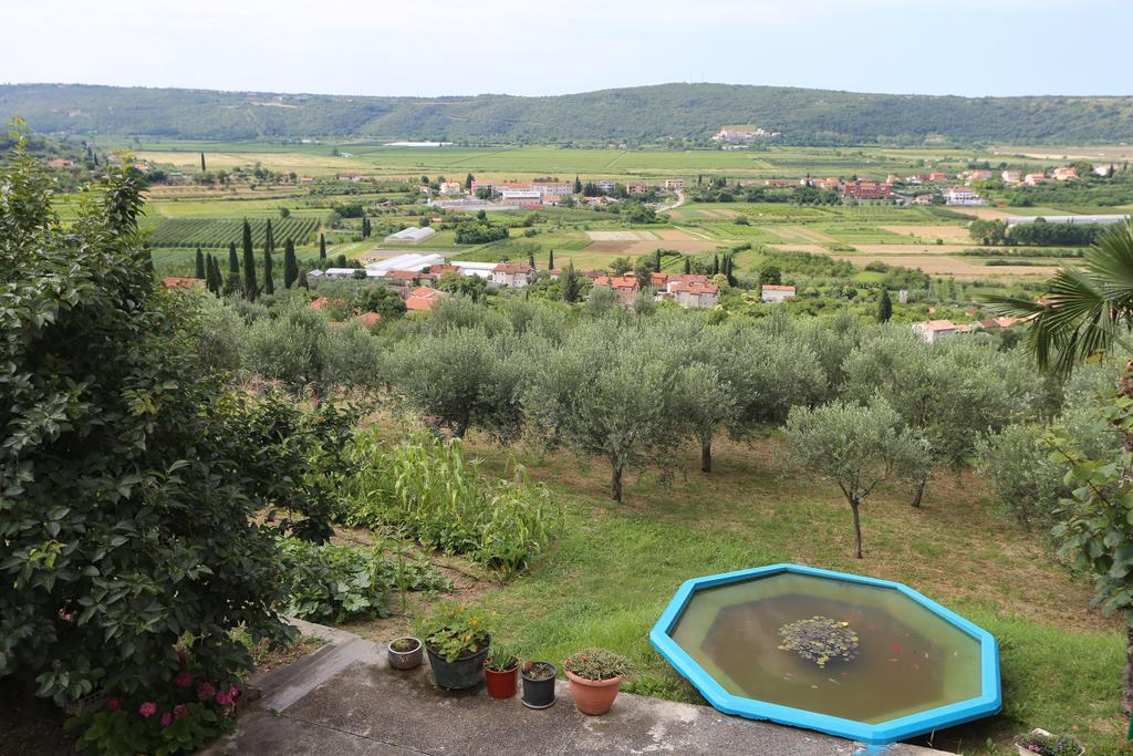 Villa Mejak & Bordon à Sečovlje Extérieur photo